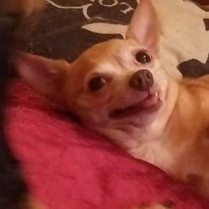 Meet your Posher, Barry